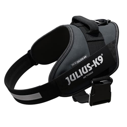 Julius-K9, Pettorina Idc Power, Taglia: L / 1, Colore: Antracite