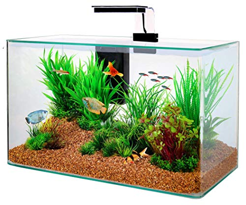 Zolux Kit Aquarium Aqua Clear 50