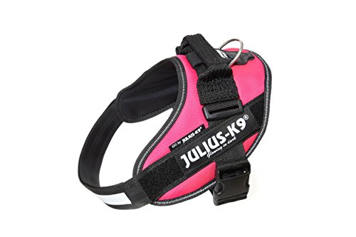 Julius-K9, Pettorina Idc Power, Taglia: M / 0, Colore: Rosa Scuro