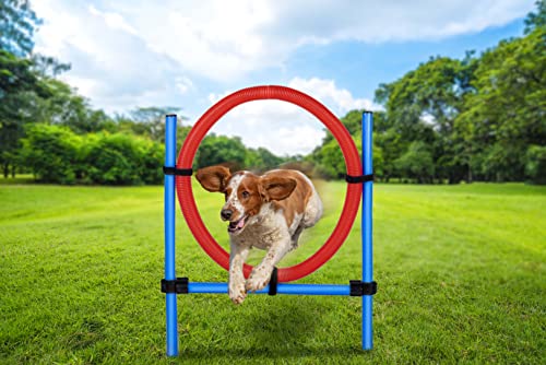 Maxxpro Agility Ring – Set Agility Per Cani – 85 X 3 Cm – Plastica – Blu/Rosso