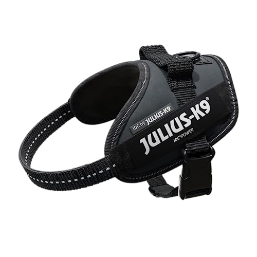 Julius-K9, Pettorina Idc Power, Taglia: Xs / Mini-Mini, Colore: Antracite