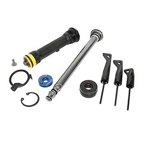 Rockshox 11.4018.009.041 30 Gold Ricambio Forcella, Nero