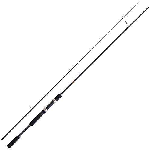 Rod Fx Xt Spinning
