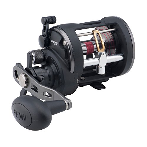 Penn Warfare War20Lw Level Wind Multiplier-Mulinello, Colore: Nero