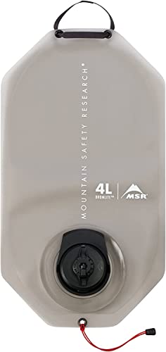 Msr