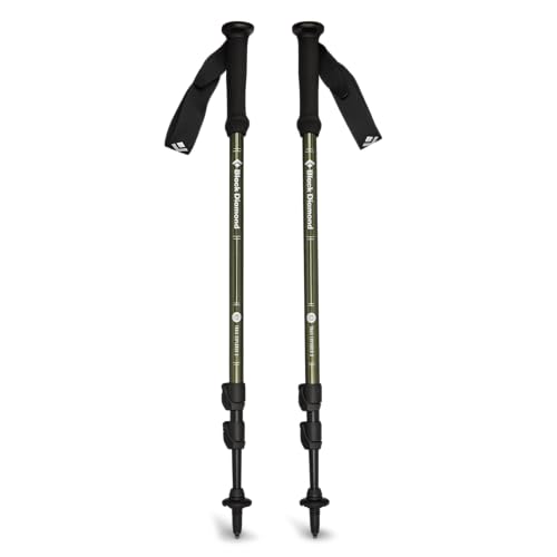Black Diamond Explorer 3 Bastoncini Da Trekking, Tundra