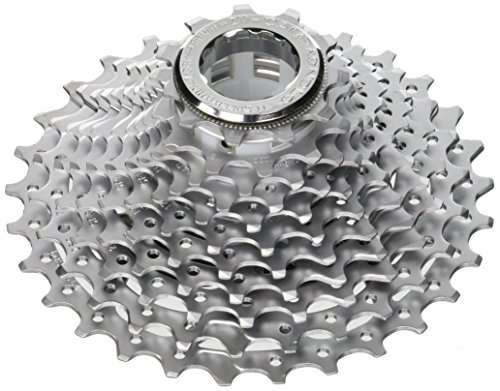 Campagnolo Potenza Cassetta, Silver, L