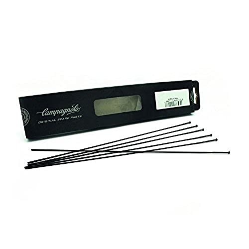 Campagnolo Neutron Mini Kit Raggi