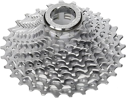 Campagnolo Potenza, Cassetta Unisex Adulto, Silver, L