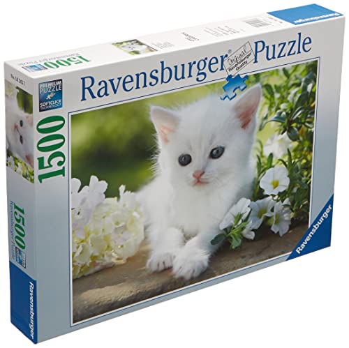 Ravensburger Italy- Puzzle 1500 Pezzi Gatto Bianco Gattino, Multicolore, 16243 7