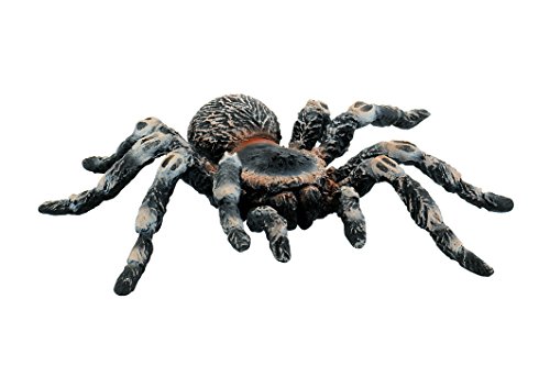 Bullyland- Tierfigur Figura Animal World-White Kneed Spider, Multicolore, 68457