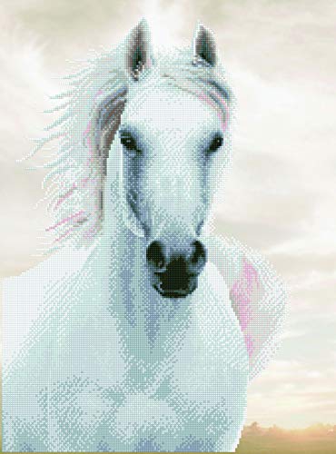 Diamond Dotz Stallone, Quadro Scintillanti Da Personalizzare, Circa 48 X 65 Cm, Pittura Con Diamanti, Nuova E Creativa, Plastica Poliestere, Cavallo B