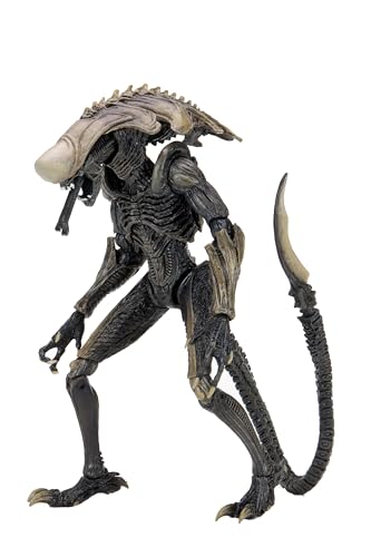 Neca - Figurine Alien Vs Predator - Chrysalis Alien 18Cm - 0634482517192