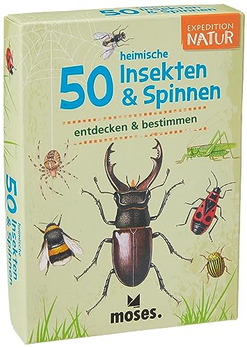 Expedition Natur 50 Heimische Insekten & Spinnen: Entdecken & Bestimmen