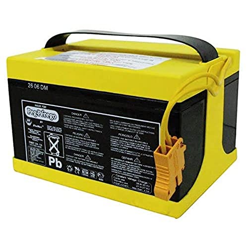 Peg Perego 24V 8Ah Battery
