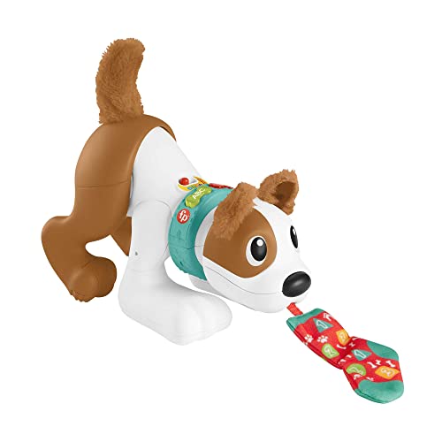 Fisher-Price - 123 Tobia Gattona Con Me, Cagnolino Giocattolo Elettronico Edizione Italiana Con Movimenti Realistici Per Primi Passi Con Tecnologia Sm
