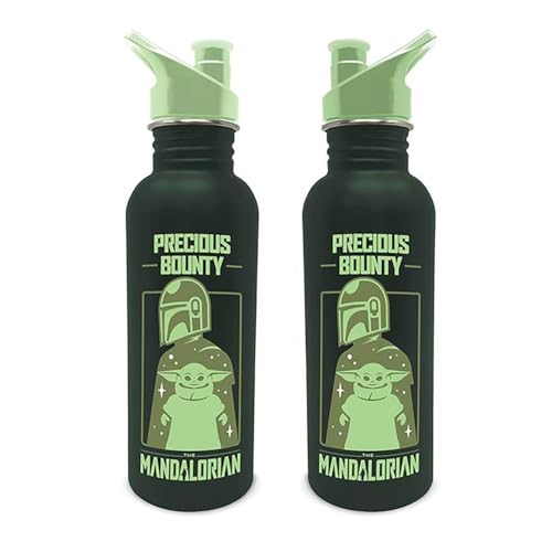 Star Wars: The Mandalorian (Precious Bounty) Metal Canteen Bottle: The Mandalorian (Precious Bounty) Metal Canteen Bottle