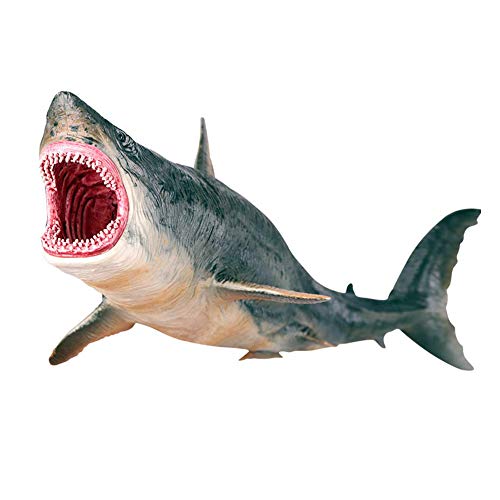 Squalo Modello Giocattolo Simulazione Megalodon Collezione Di Giocattoli Animali Miniature Figura Marina Modello Animale Ornamenti Per La Casa Accesso