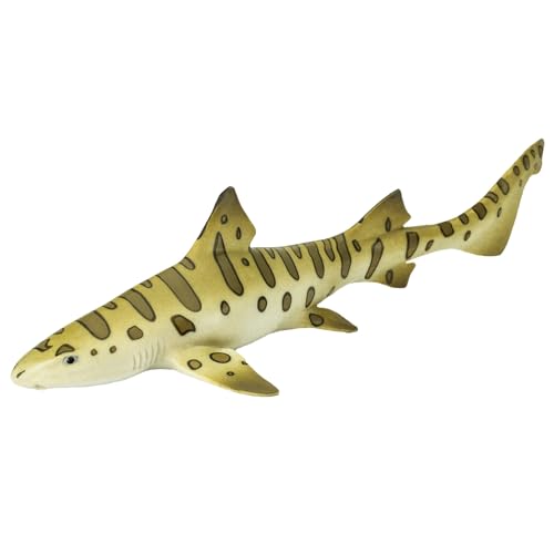 Leopard Shark