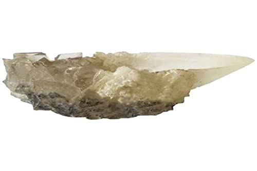 Noble Collection Il Calice Di Cristallo Della Grotta