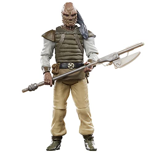 Star Wars Hasbro The Vintage Collection, Weequay, Action Figure Collezionabile Per Adulti Da 9,5 Cm Per Il 40° Anniversario Ritorno Dello Jedi, Dai 4