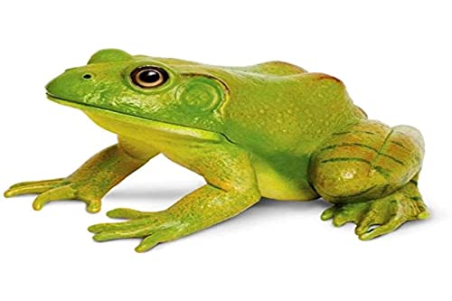 Safari Ltd American Bullfrog