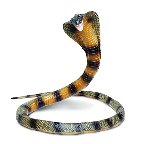 Toob-260329 Snake Statuetta Cobra A Spirale Possibile, Multicolore, Medium, S260329