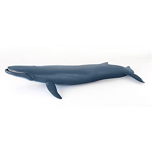 Papo -Dipinta A Mano- Figurina-Mondo Marino-Balena Blu-56037-Collezione -Adatto A Bambini E Bambine - A Partire Dai 3 Anni Di Età