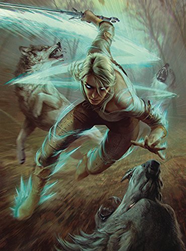 Witcher 3 The Wild Hunt- Puzzle, Colore Vario, Taglia Unica, Jun180386