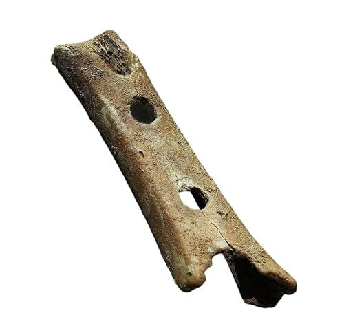 Divje Babe | Flauto In Osso Di Neanderthal | Replica Moderna | Originale Ha 55.000 Anni