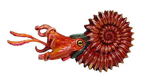 Safari Ltd Ammonite