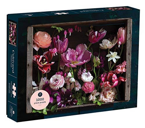 Princeton Architectural Press 9781648960031 Toy