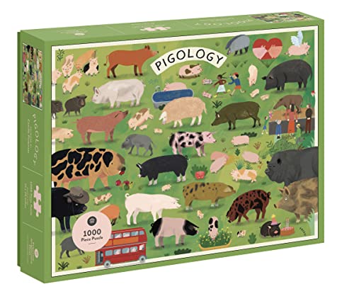 Princeton Architectural Press 9781648961632 Puzzle