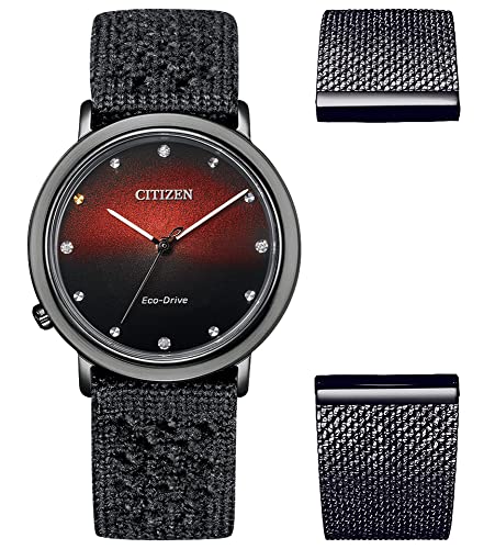 Citizen Watch Em1007-47E