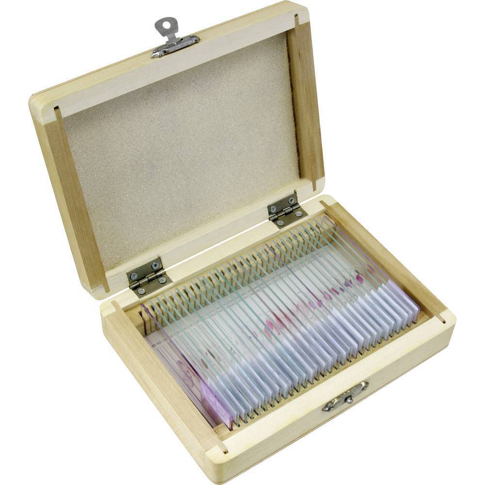 Bresser Optik Bresser 5986000 Kit esperimenti