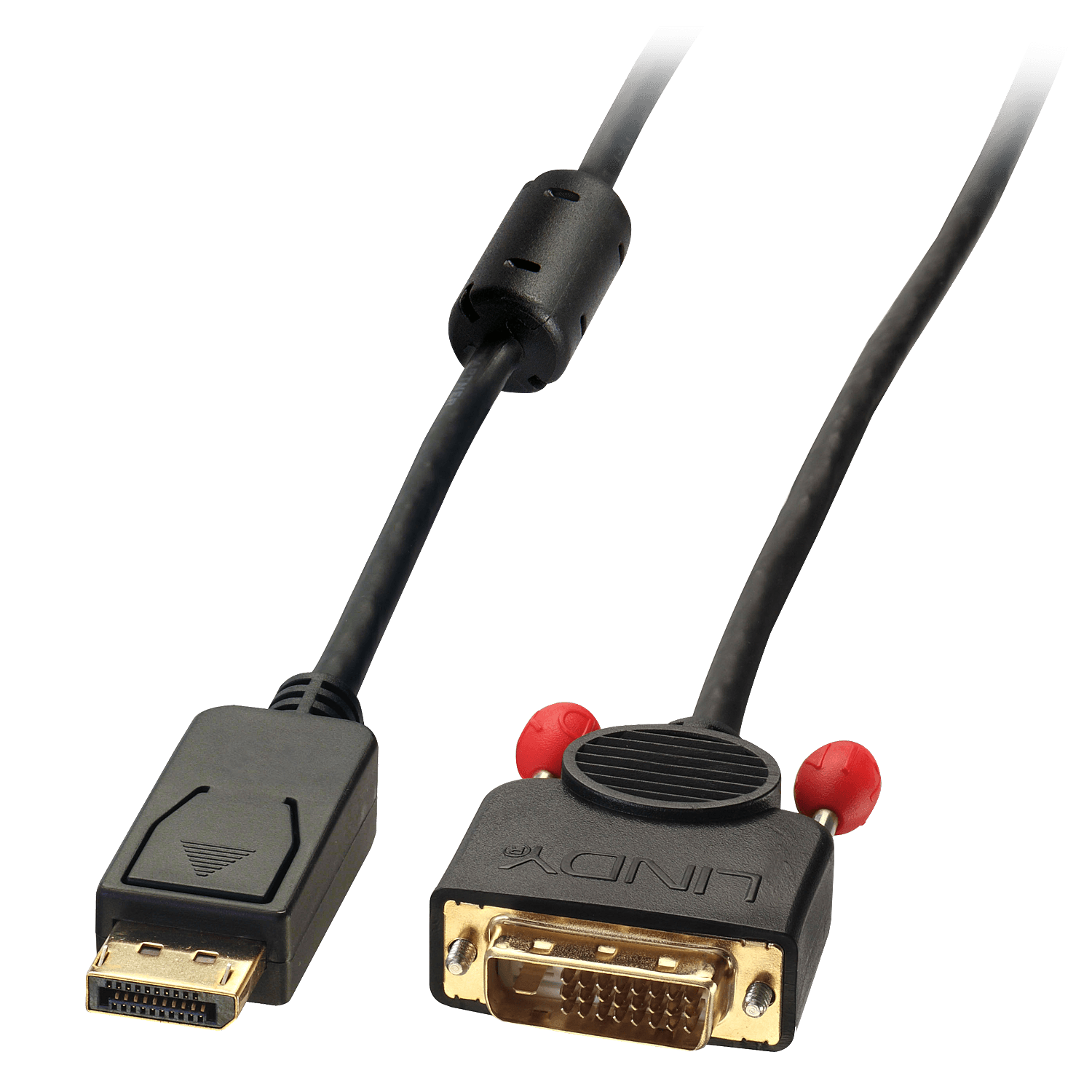 Lindy 41489 Cavo DisplayPort a DVI, 0.5m