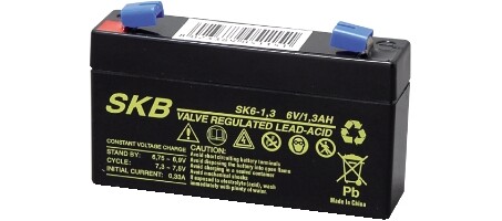 Batteria Piombo 6v 1,3ah Skb SKB 38620125