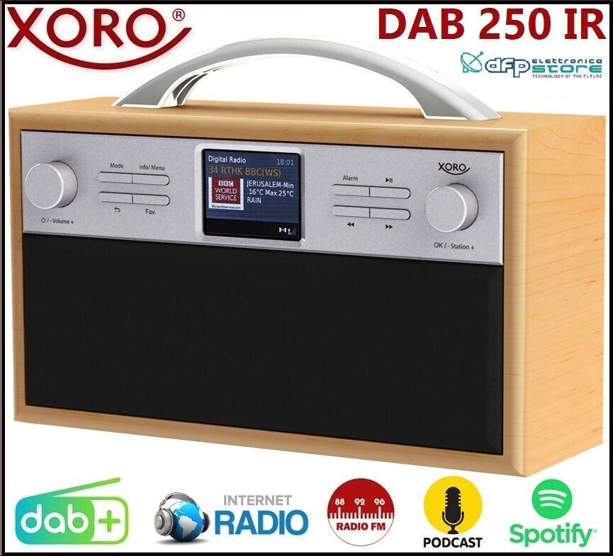 Radio Internet WiFi Bluetooth DAB+Spotify Podcast FM Portatile Ricaricabile