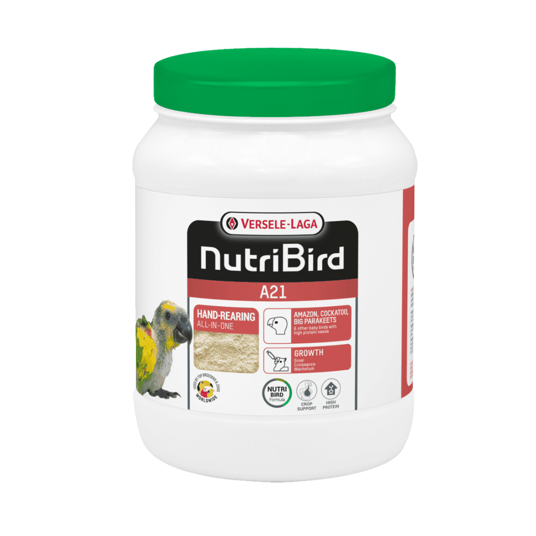 Pappa per nidacei di pappagalli medi e grandi - Versele Laga NutriBird A21 800gr