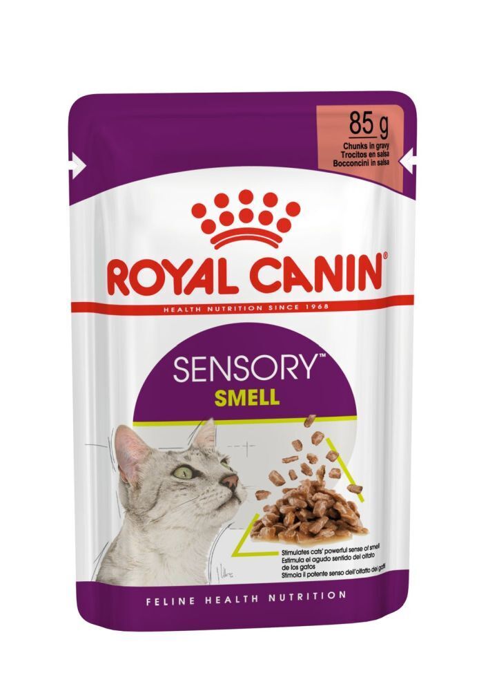 Royal Canin Gatto FHN Sensory Smell Bocconcini in salsa 85gr