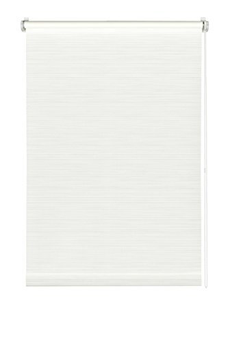 Gardinia Easyfix Tenda a Rullo con Morsetto di Fissaggio o Adesiva, Tessuto, Bia