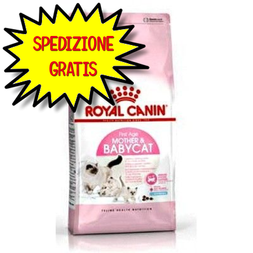 ROYAL CANIN GATTO BABYCAT & MOTHER 34  2 KG