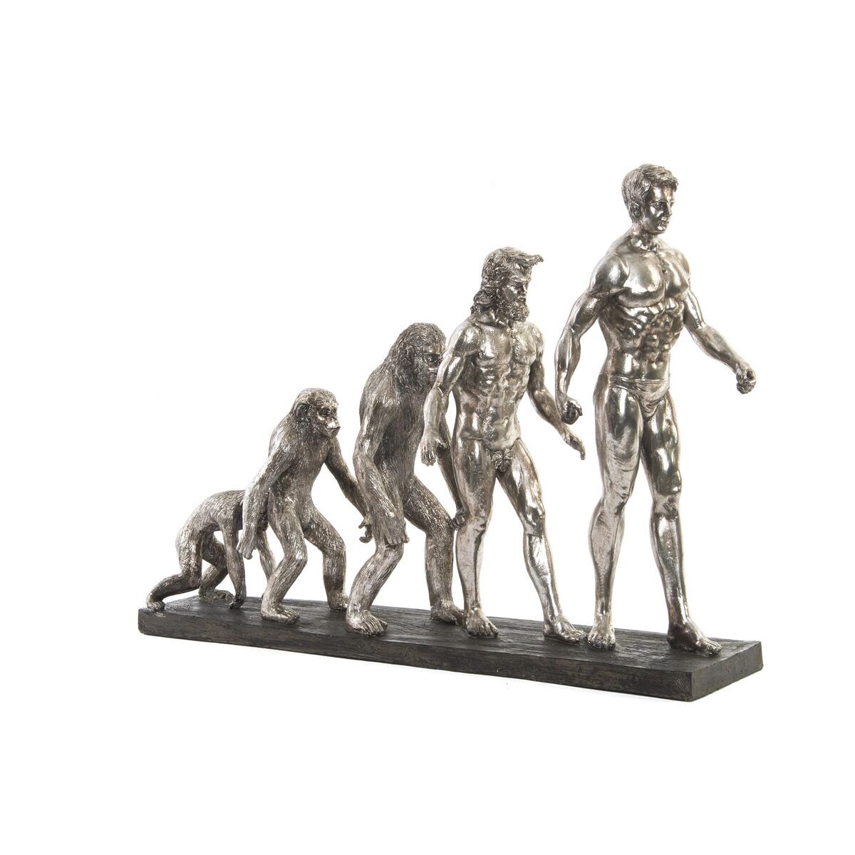 Statua Decorativa DKD Home Decor Origin of Species Argentato Cromato 55 x 18