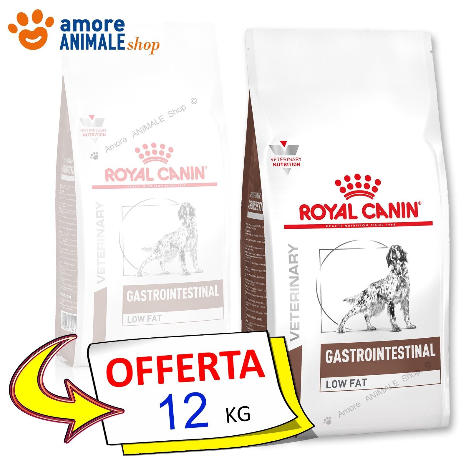 Royal Canin Dog → Veterinary GASTROINTESTINAL LOW FAT - 12 kg - Diete Cane, Cani