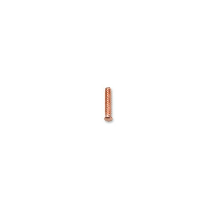 100 perni autofilettanti 5x25 mm art. 1366S/R8