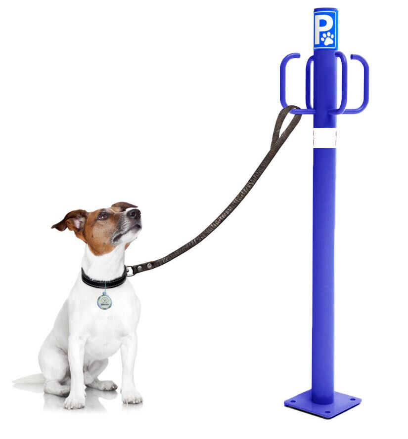 Nayade System Dog Parking Post: Poste Parking Esterno con 4 Ganci Colore Blu