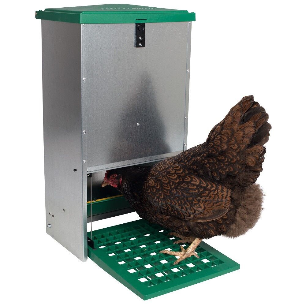 MANGIATOIA AUTOMATICA A PEDALE DA 20 KG | POLLI GALLINE - IN PROMOZIONE