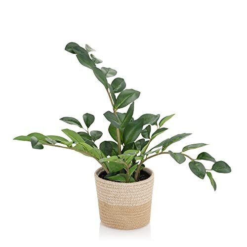 HJH Office Pianta Artificiale ZAMIE Altezza 50 cm Verde Deco Zamioculcas (u2d)