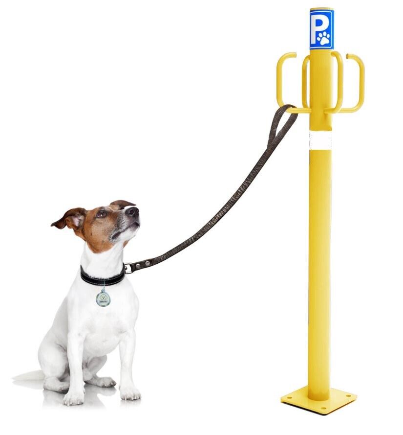 Nayade System Dog Parking Post: Poste Parking Esterno con 4 Ganci Colore Giallo