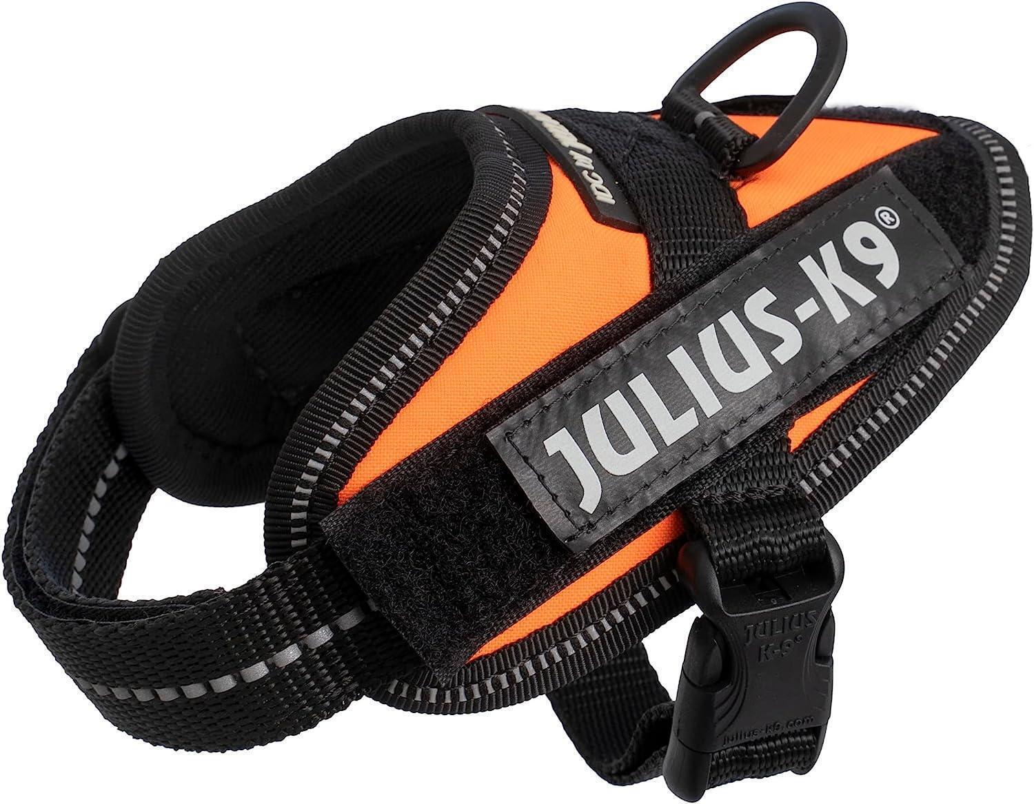 JULIUS K9 PETTORINA IDC POWER HARNESS ORANGE BABY 2